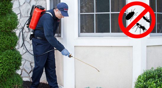 Mazgirt Bit İlaçlama böcek ilaçlama ve haşere kontrolü — ilaclama-tr.com